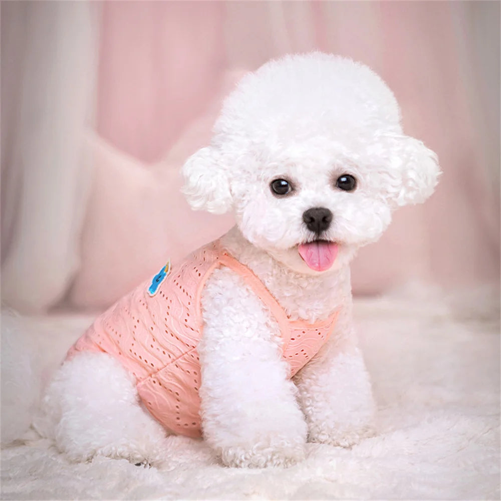 Breathable Summer Vest for Cats & Small Dogs