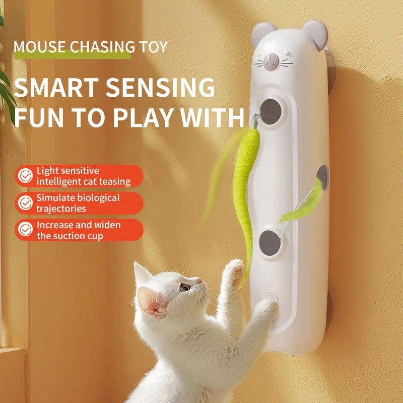 Interactive Caterpillar Cat Toy