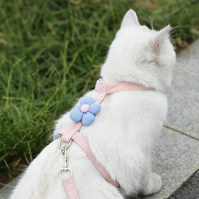 Breathable Adjustable Harness & Leash Set for Cats and Small Dogs