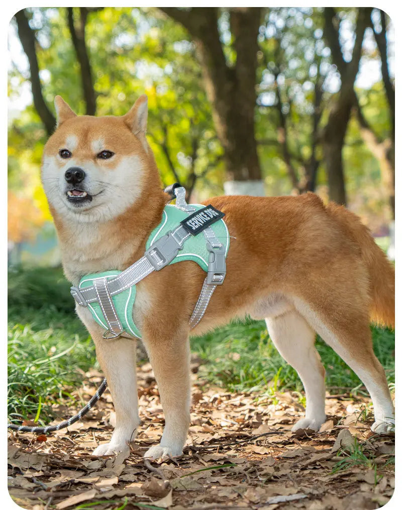 No Pull Dog Harness with Front Clip and Handle