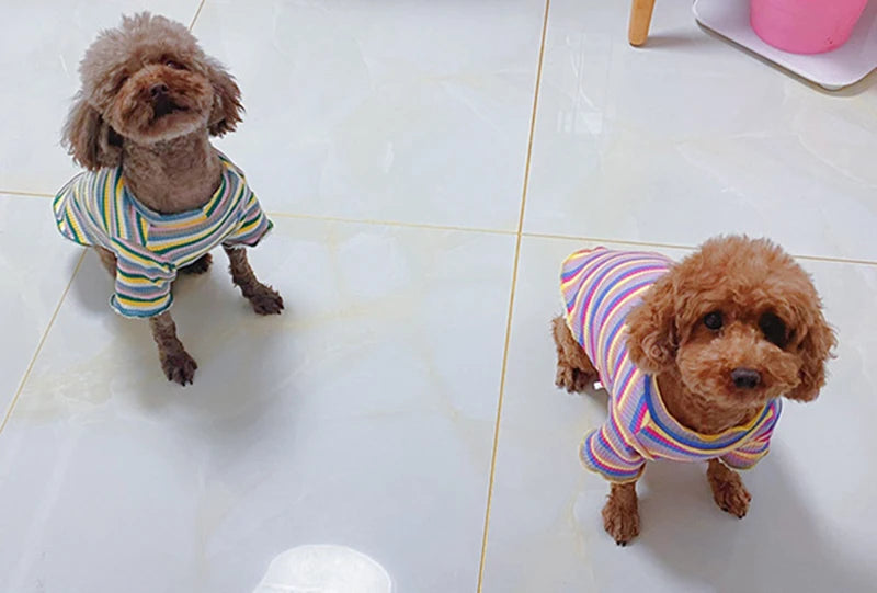 Cotton 100% Cat Dog Vest Summer Pet Clothes Stripe Pullovers for Small Dogs Cats Chihuahua Pomeranian Puppy Ropa Para Perros