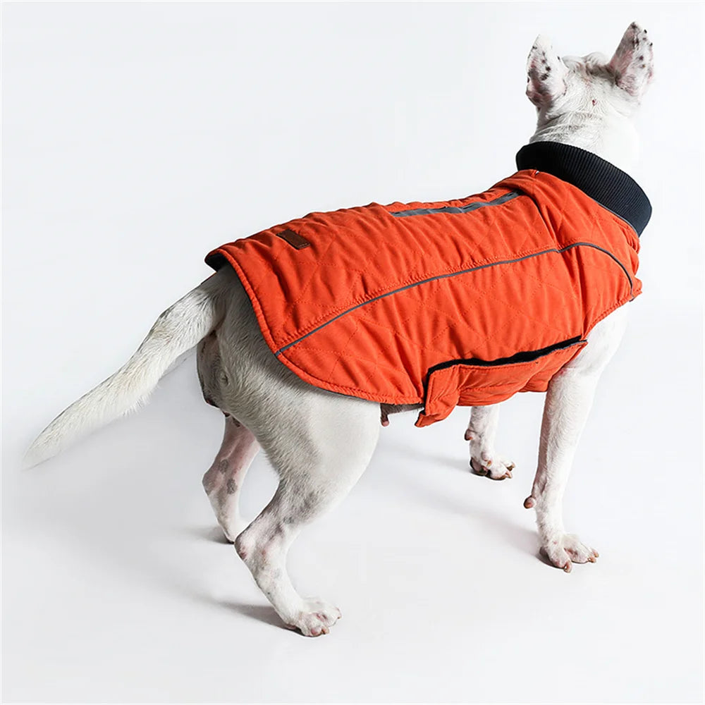 Warm Reflective Winter Jacket for Dogs — XS to 3XL