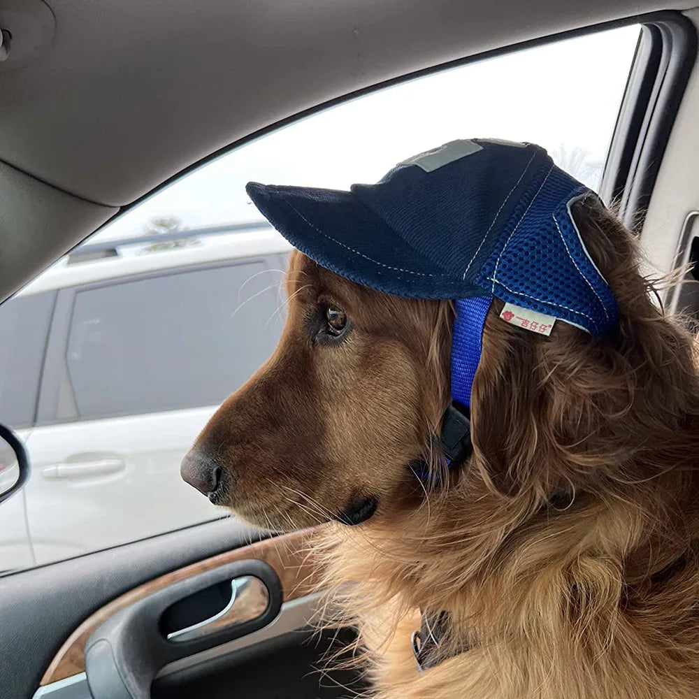 Casquette de baseball en velours côtelé avec trous pour les oreilles | Chapeau de sport d'extérieur réglable pour l'été pour petits et grands chiens