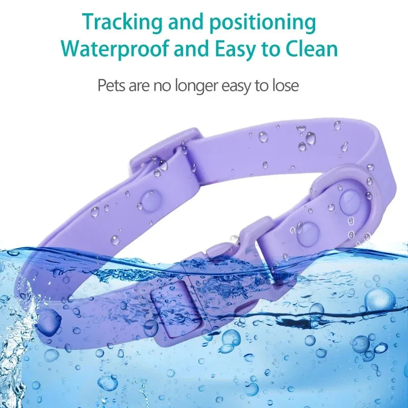 Collier et Harnais en Silicone pour Chat - Accessoires Souples pour Chaton et Petits Animaux