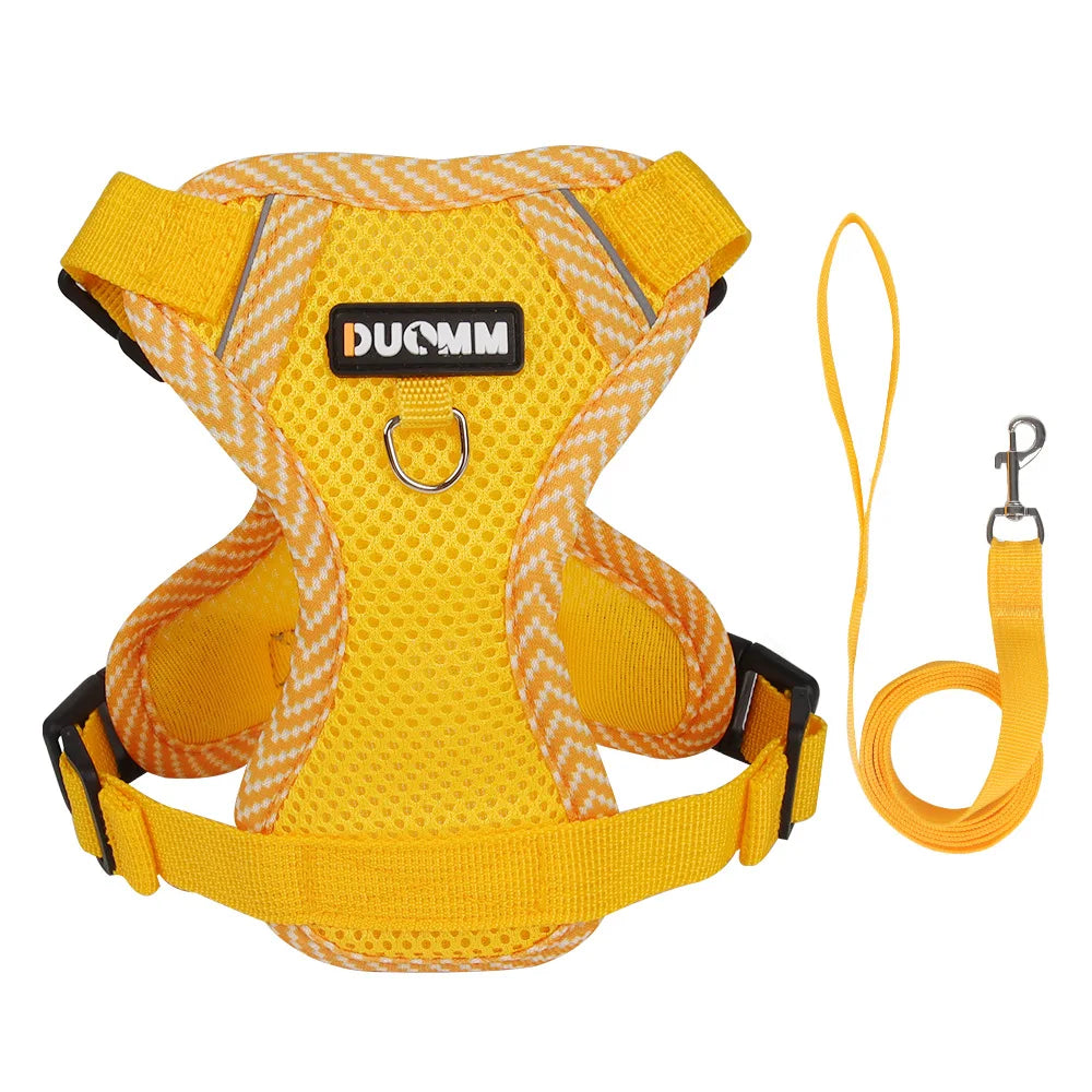 Reflective Mesh Cat & Dog Harness with Leash Set