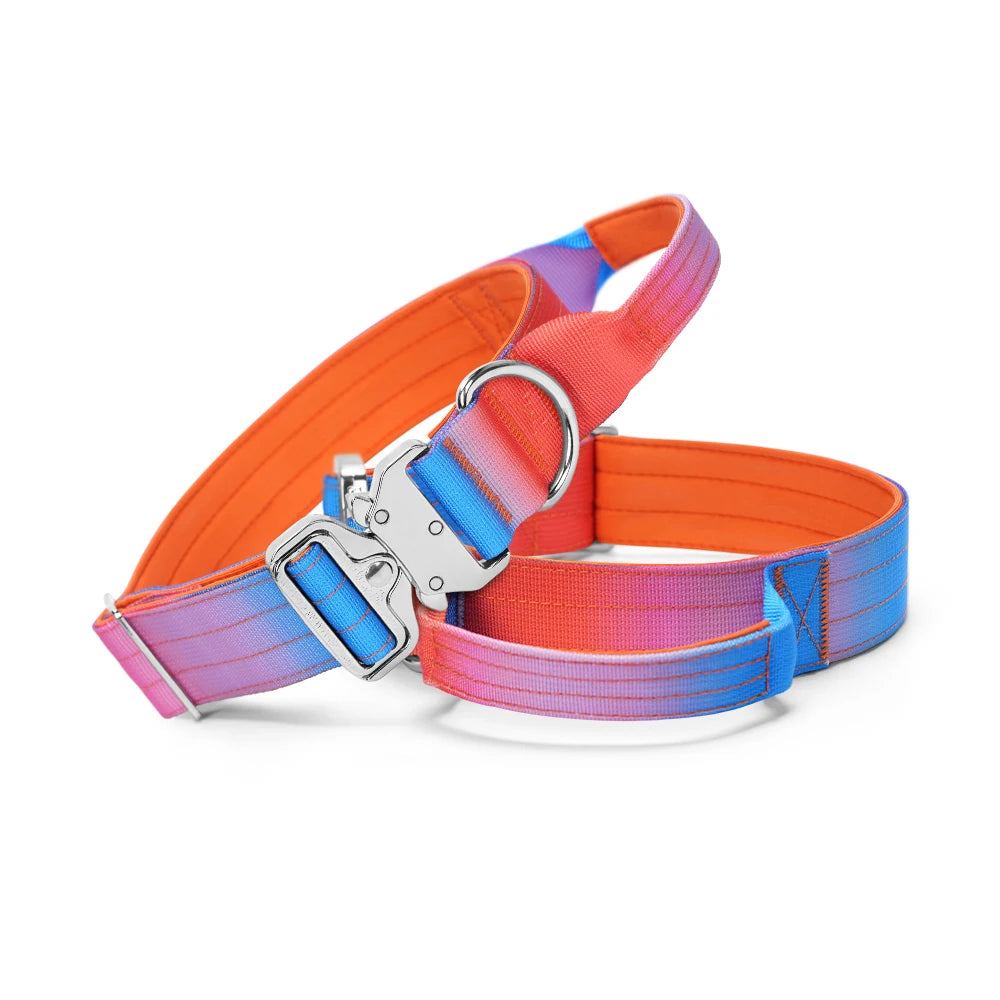 Wide Padded Dog Collar with Handle | Gradient Design for Large Dogs