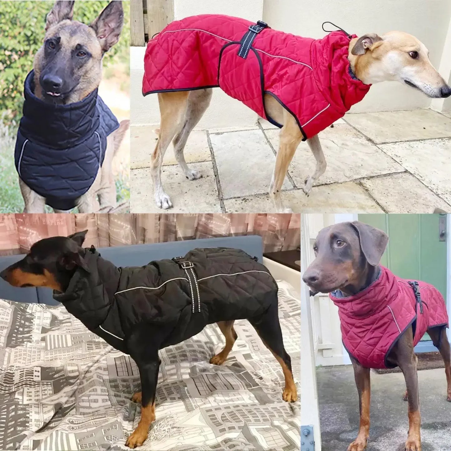 Waterproof Reflective Dog Winter Jacket