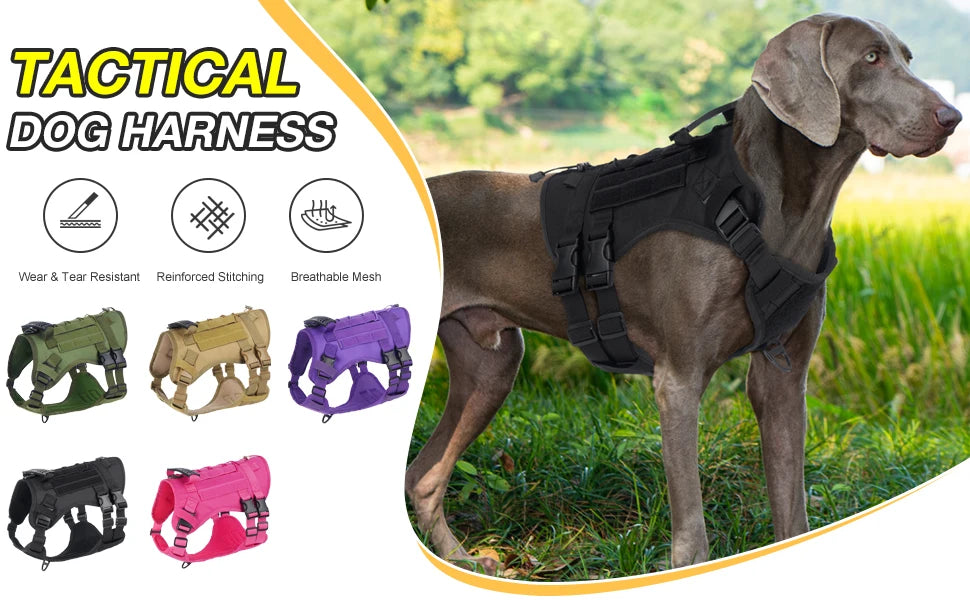 Harnais Tactique pour Chien avec Sangle de Poitrine et Boucle de Renfort