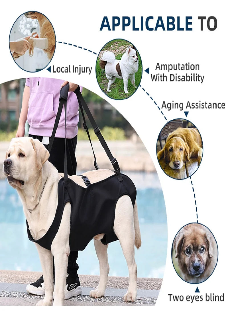 Dog Body Support Lift Harness for Injured, Disabled & Elderly Dogs – Soft Oxford Carry Sling