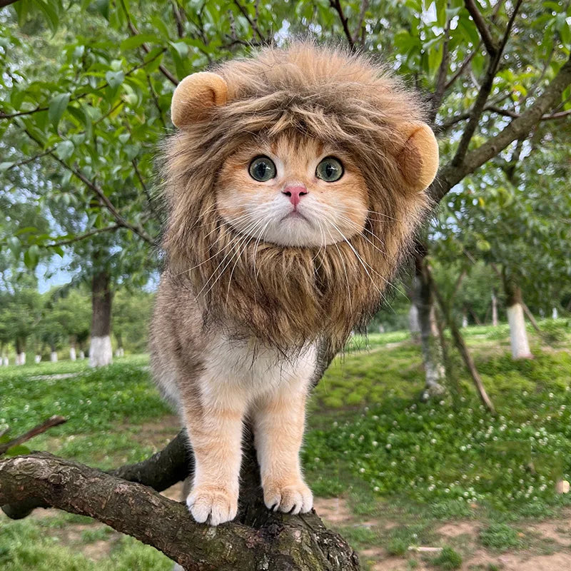 Lion Mane Pet Costume for Dogs and Cats