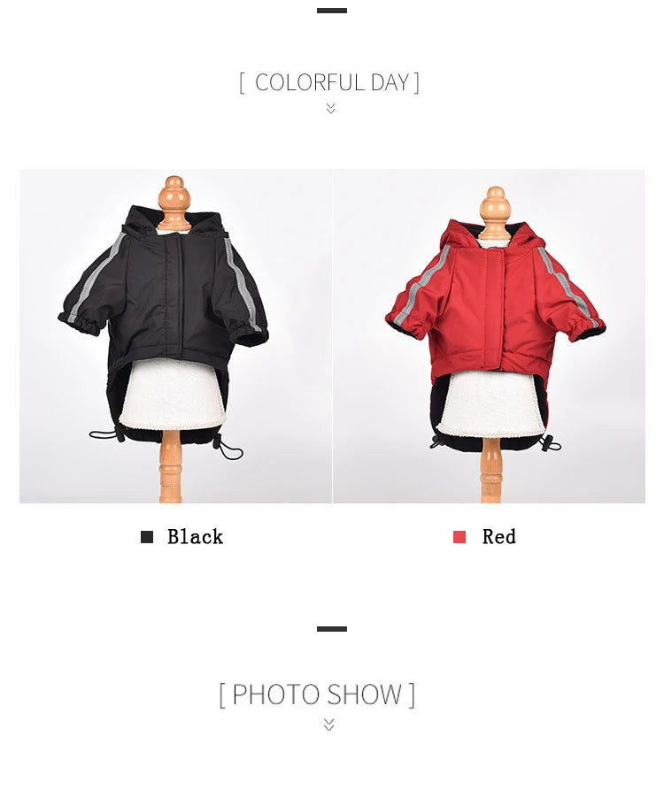 Manteau imperméable à capuche pour chien