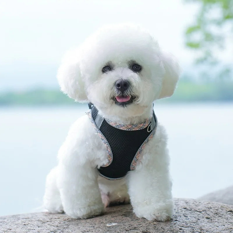 Gilet Tactique pour Chien avec Sangle de Poitrine - Harnais Robuste pour Animaux de Compagnie