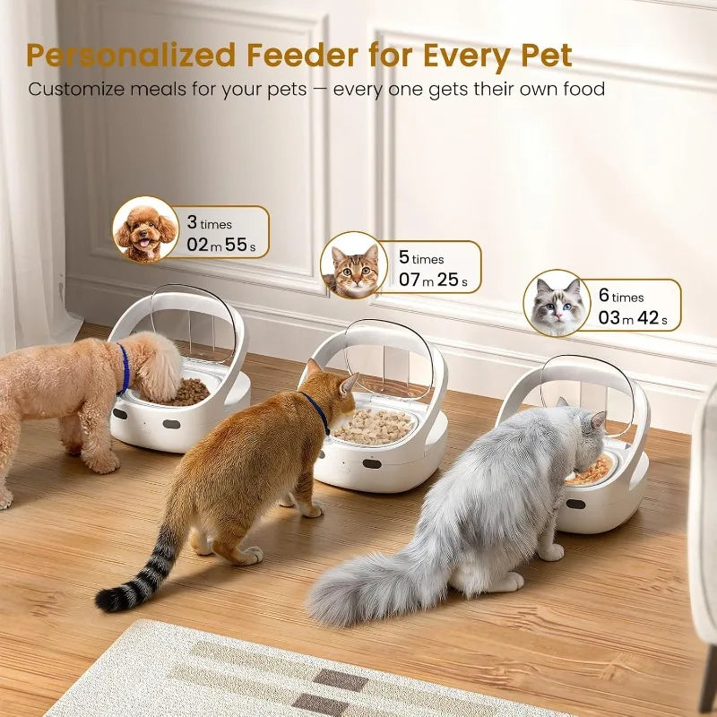 RFID Selective Cat Feeder with Ice Pack Cooling