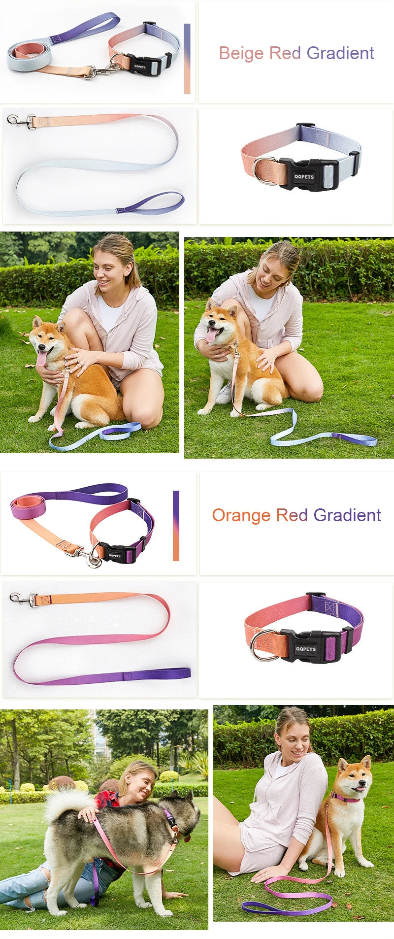 Ensemble laisse et collier réglables en nylon pour chiens - Pour petits et grands chiens