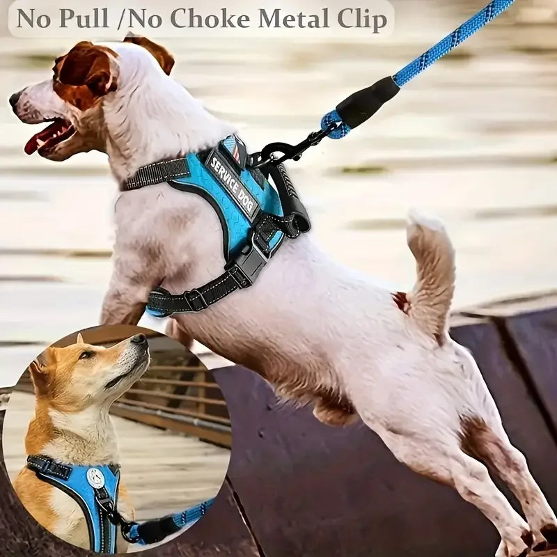 Dog Harness Set — Chest Vest, Shock-Absorbing Lead, Folding Bowl & Waste Bags