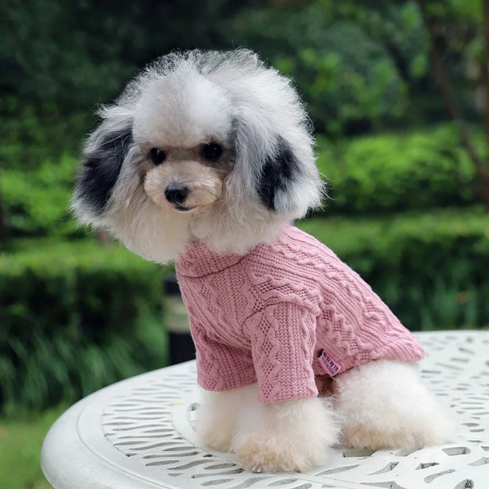 Long-Sleeve Knitted Pullover Sweater for Cats & Small Dogs