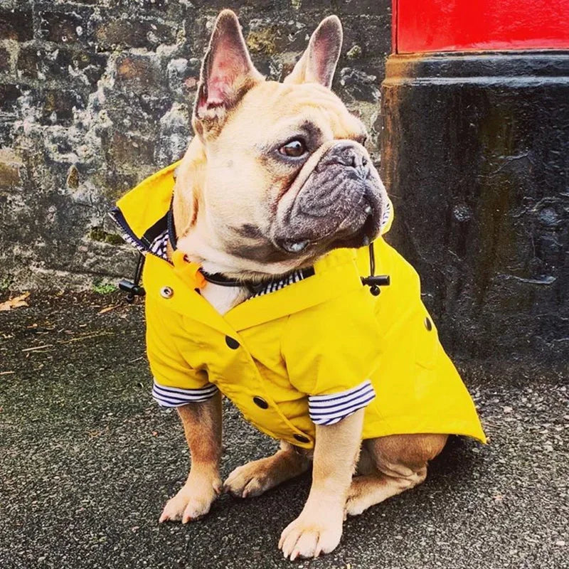 Waterproof Striped Raincoat for Dogs