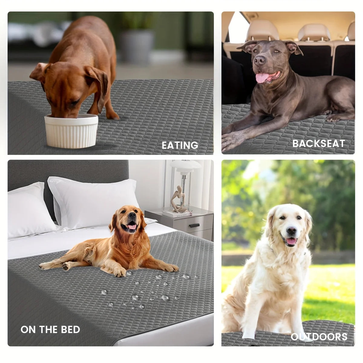 Pet Furniture & Bed Cover