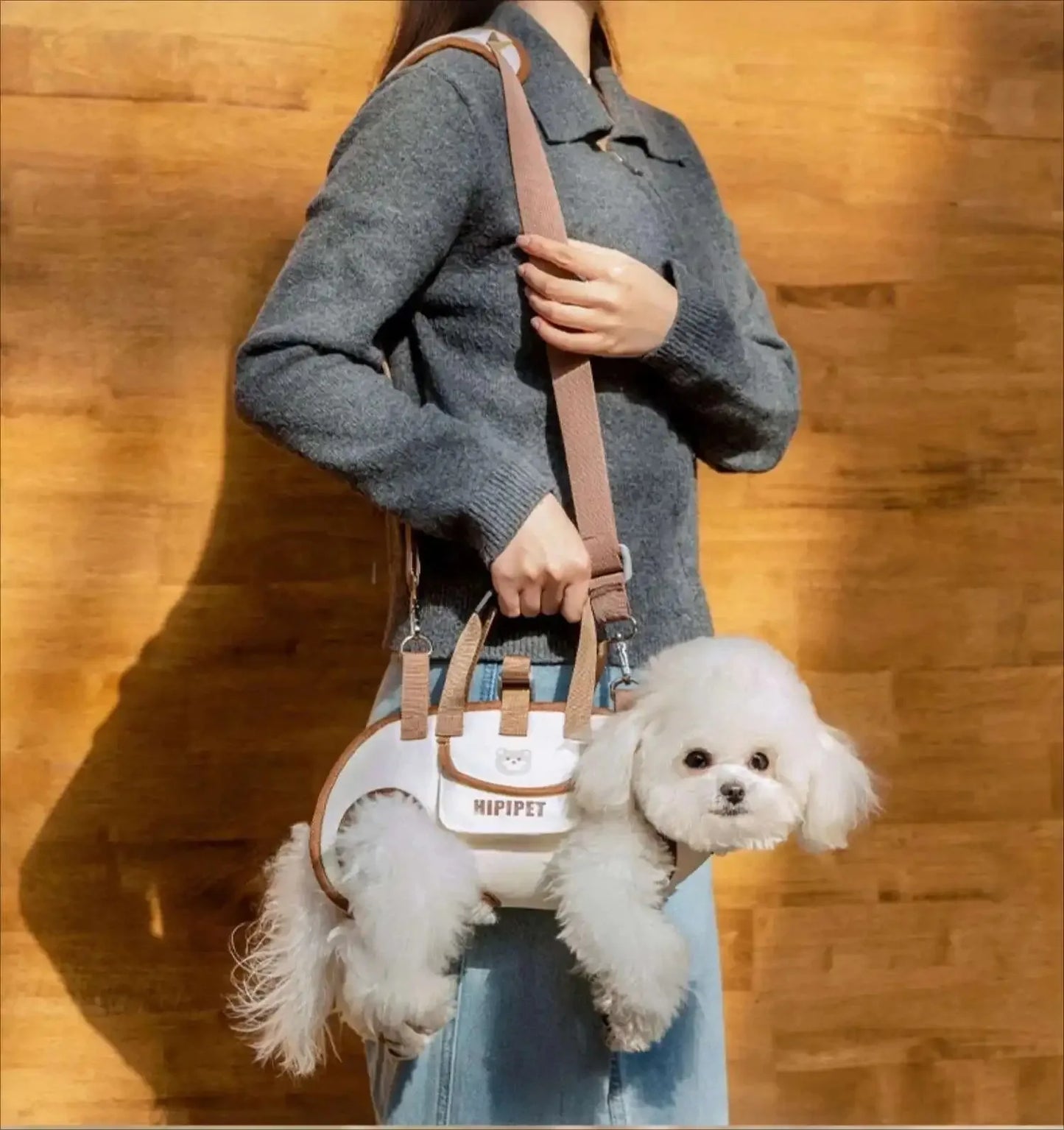 Sac de transport pour animaux de compagnie avec design de sac à dos