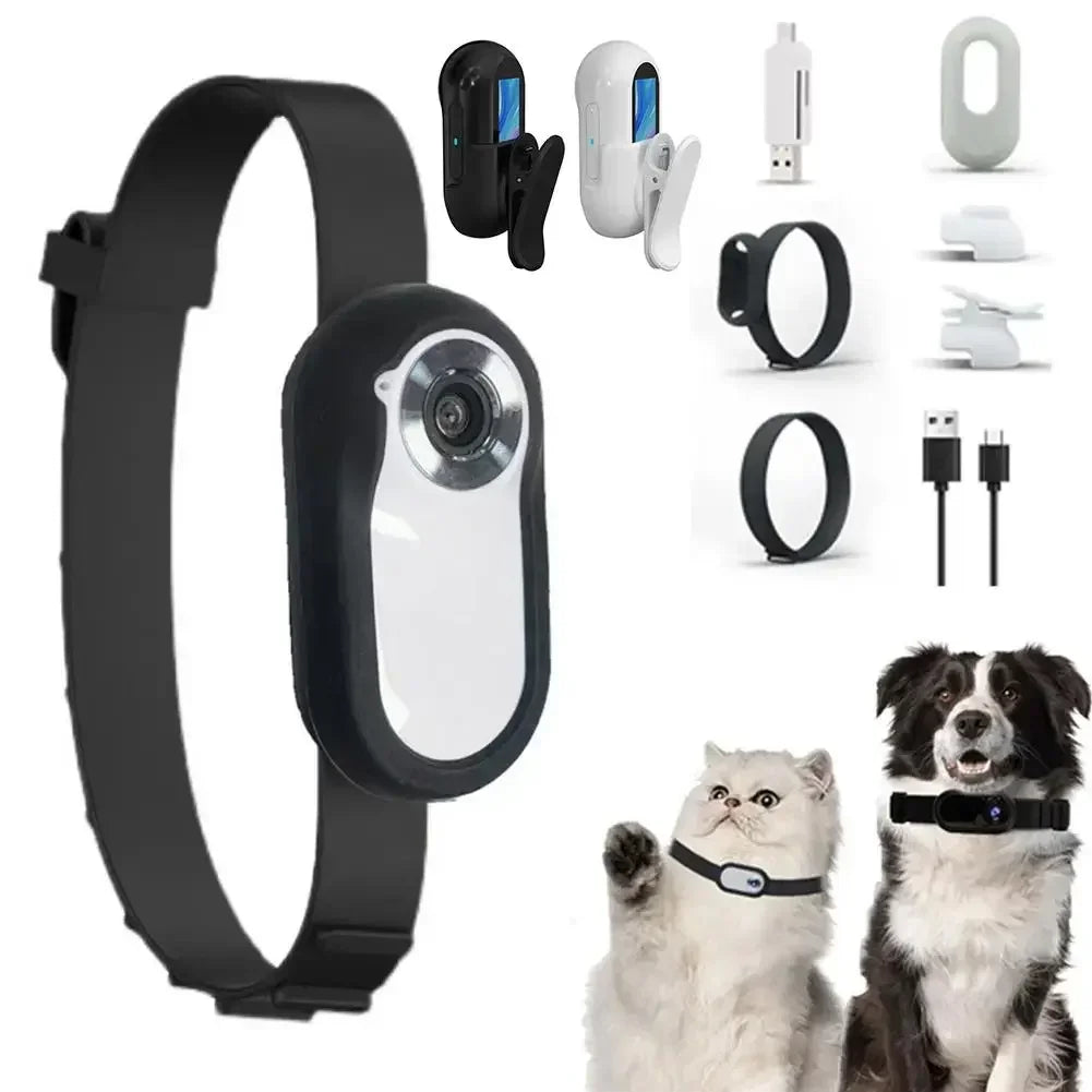HD 1080P Wireless Pet Collar Camera — No WiFi Required
