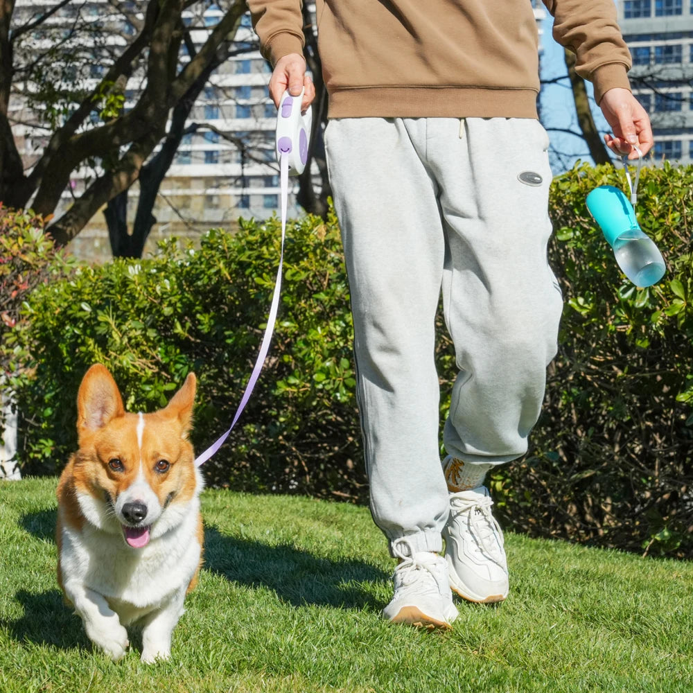 300ml Frosted Pet Water Bottle with Drinking Bowl – Portable & Leakproof for Dogs & Cats