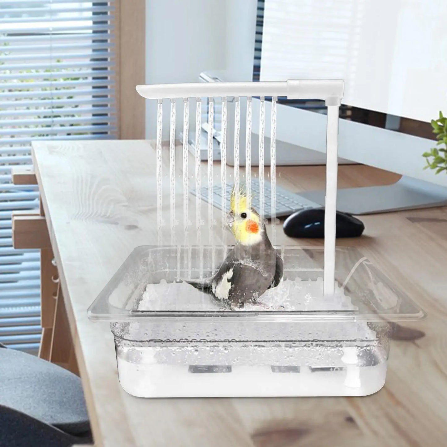 Automatic Bird Bath Fountain with USB Pump for Parrots & Cage Birds
