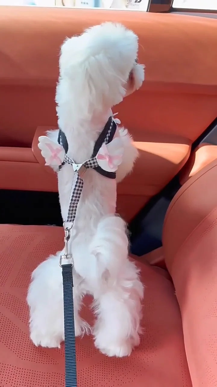 Ensemble harnais et collier en cuir de qualité supérieure pour chien