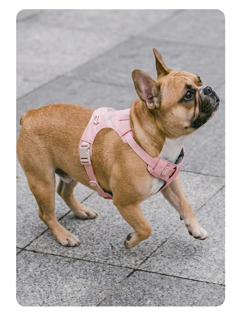 Lightweight Dog Harness & Leash Set Anti-Pull Escape-Proof Pet Walking Lead for Small Medium Large Dogs