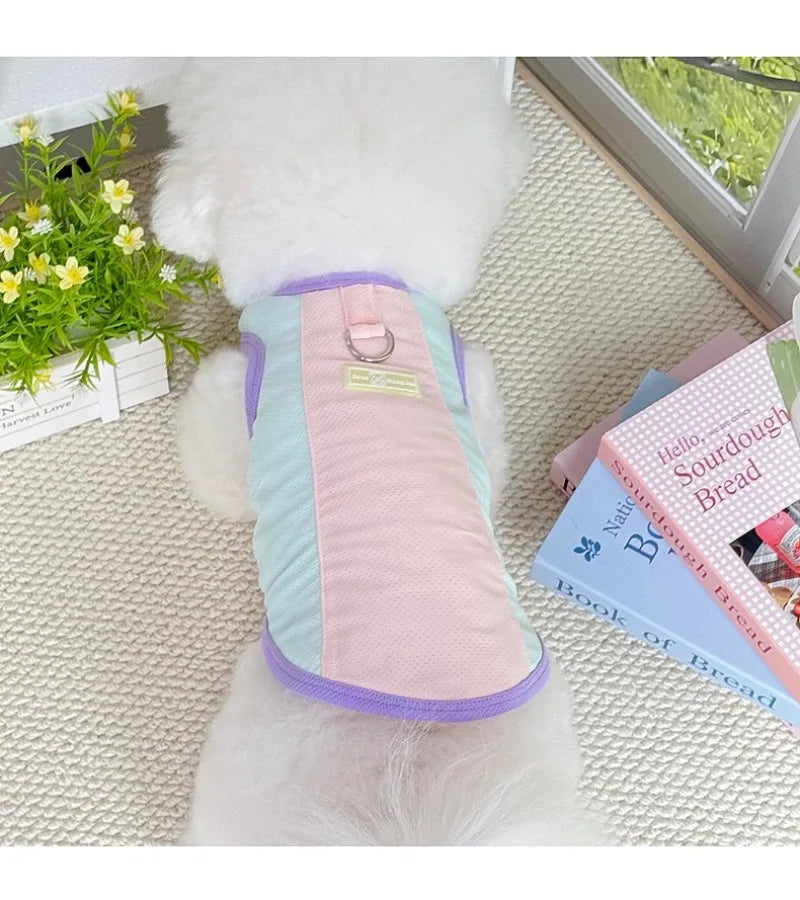 Gilet rafraîchissant réfléchissant et t-shirt d'été pour chiens et chats de petite, moyenne et grande taille