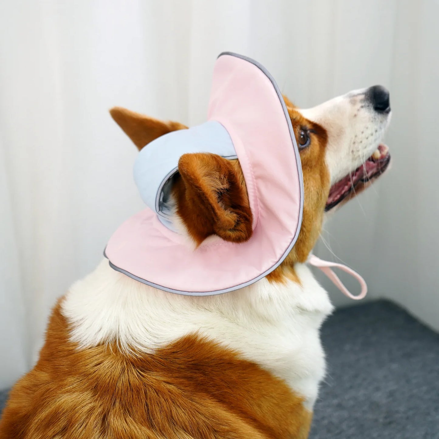 Reflective Wide Brim Bucket Sun Hat with Ear Holes for Dogs & Cats