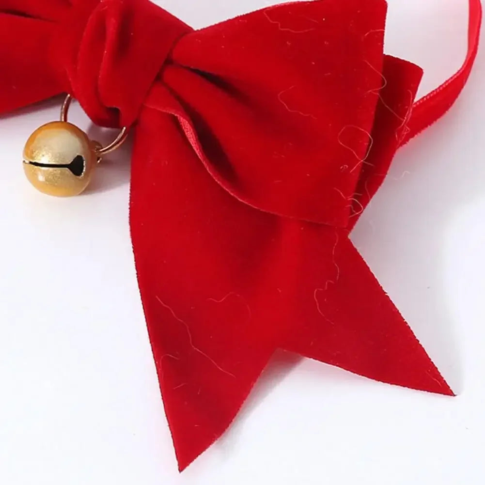 Velvet Bow Cat Collar with Bell - Decorative Breakaway Kitten Collar