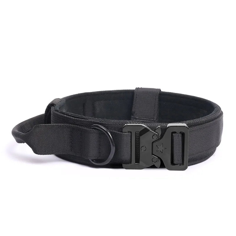 Durable Nylon Dog Collar & Leash Set for Large Dogs