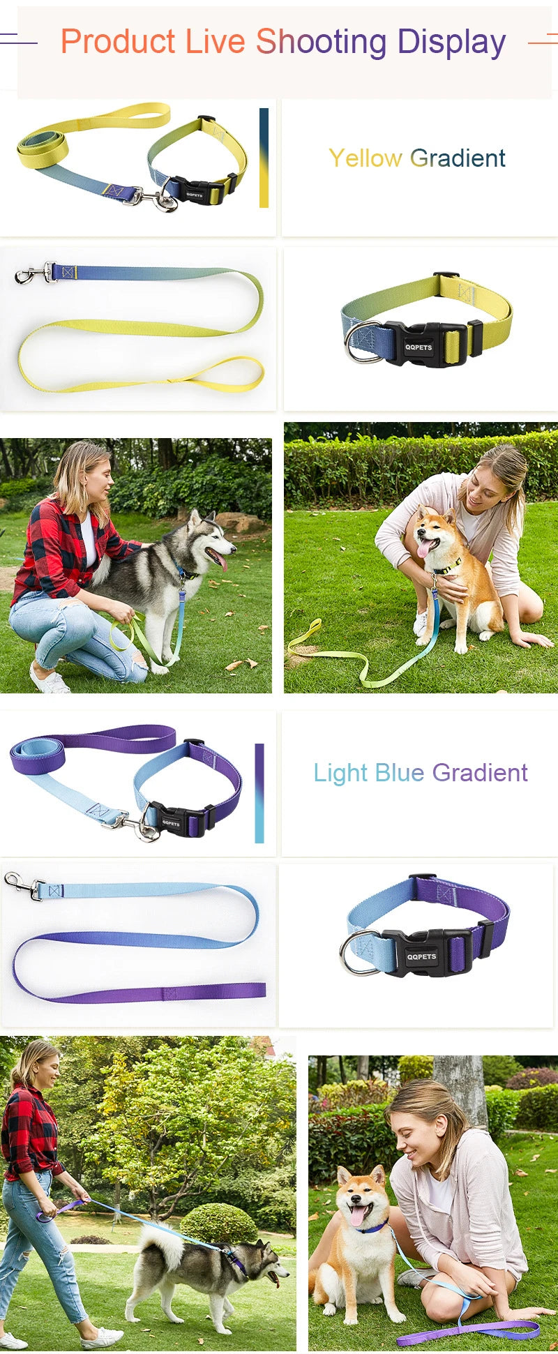 Ensemble laisse et collier réglables en nylon pour chiens - Pour petits et grands chiens