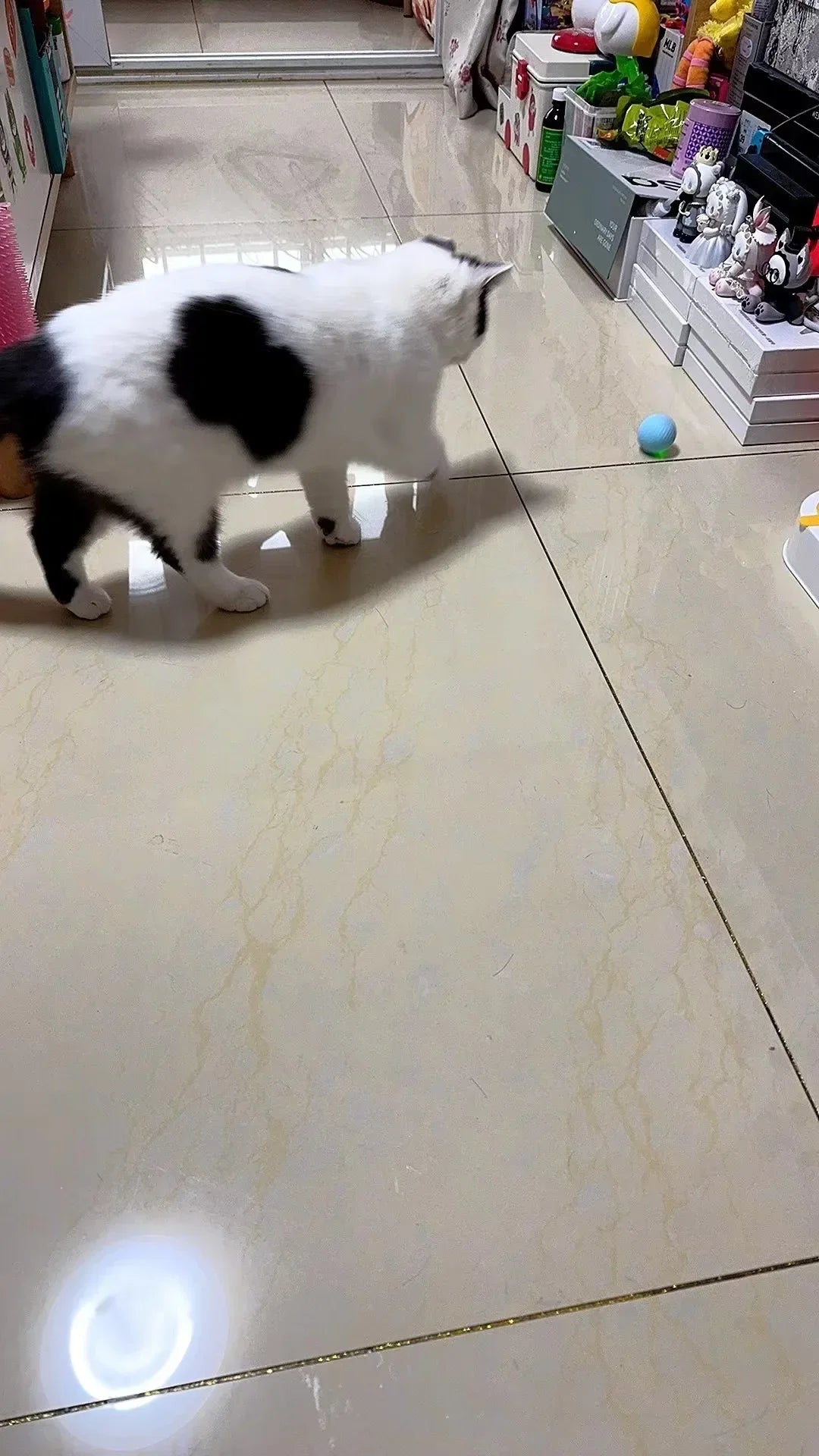 Automatic Rolling Cat Ball with Touch-Activated Play