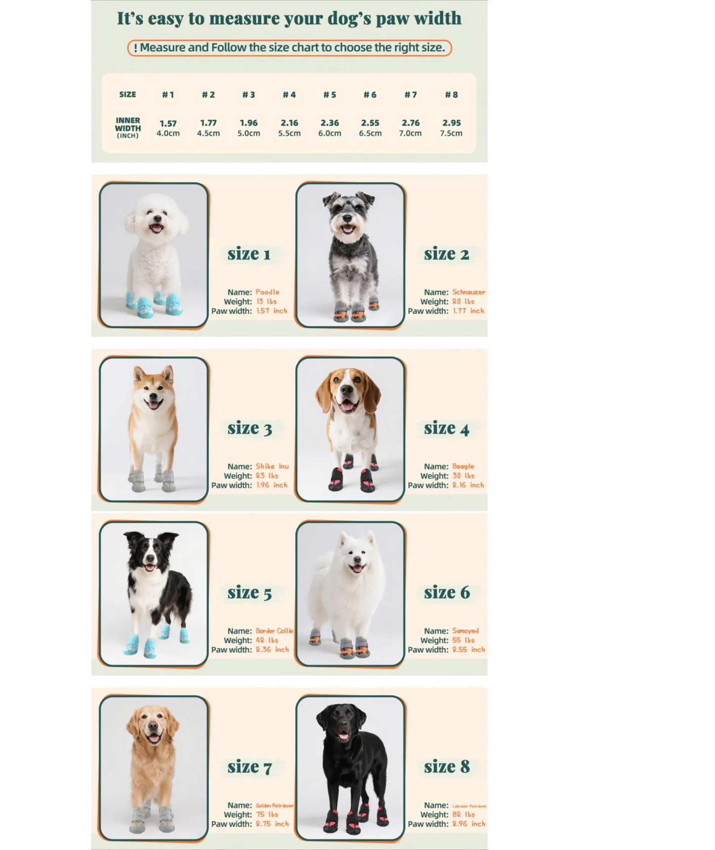 Chaussures et protections pour les pattes de chien