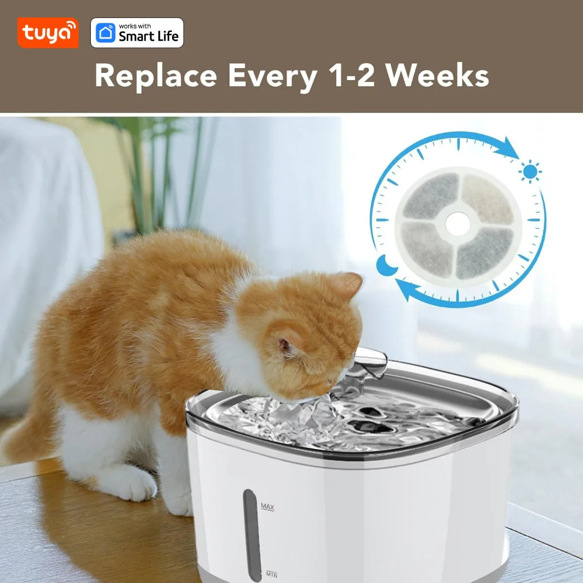 2.5L Smart Cat Water Fountain — App-Controlled with Stainless Steel Bowl & 3 Filters