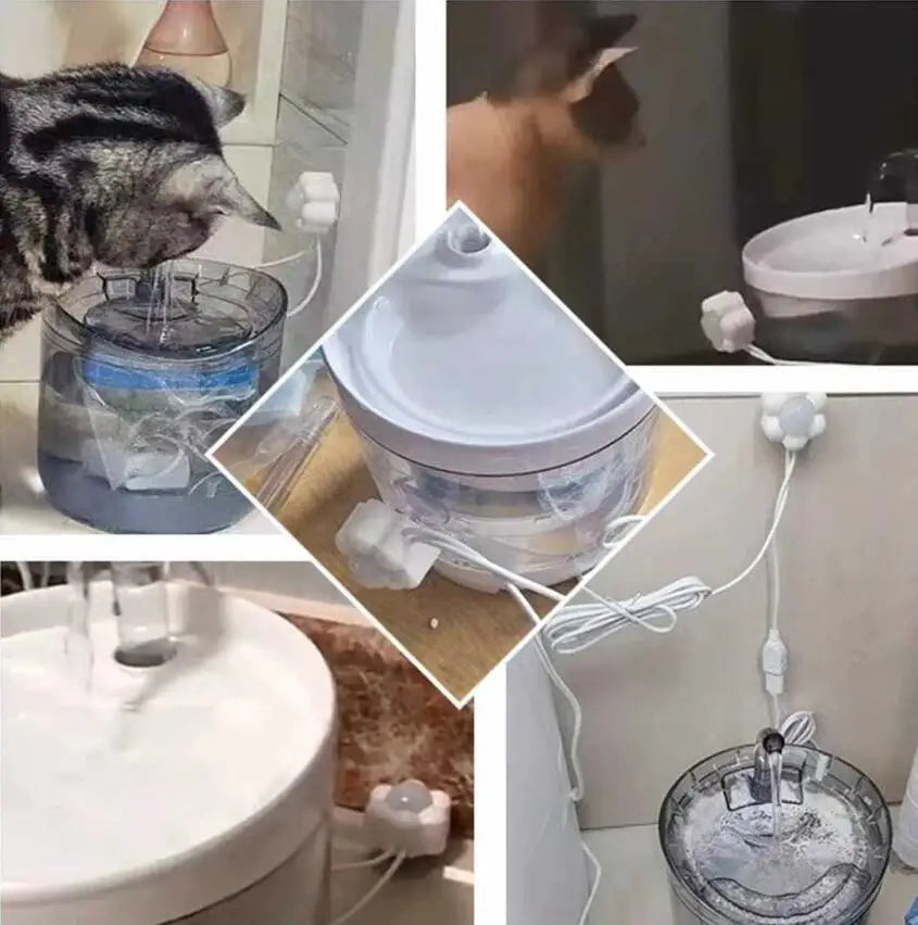 Motion Sensor Pet Water Fountain with Infrared Detector & Filter | USB Powered