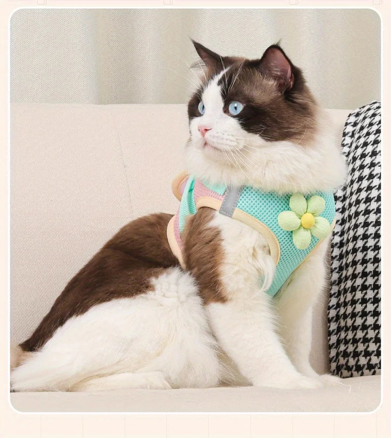 Breathable Mesh Pet Harness and Leash Set