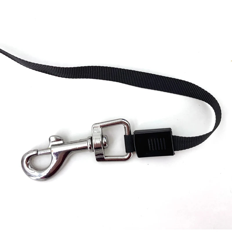 Laisse Rétractable pour Chien - Laisse Extensible Automatique pour Chiens de Petite à Moyenne Taille