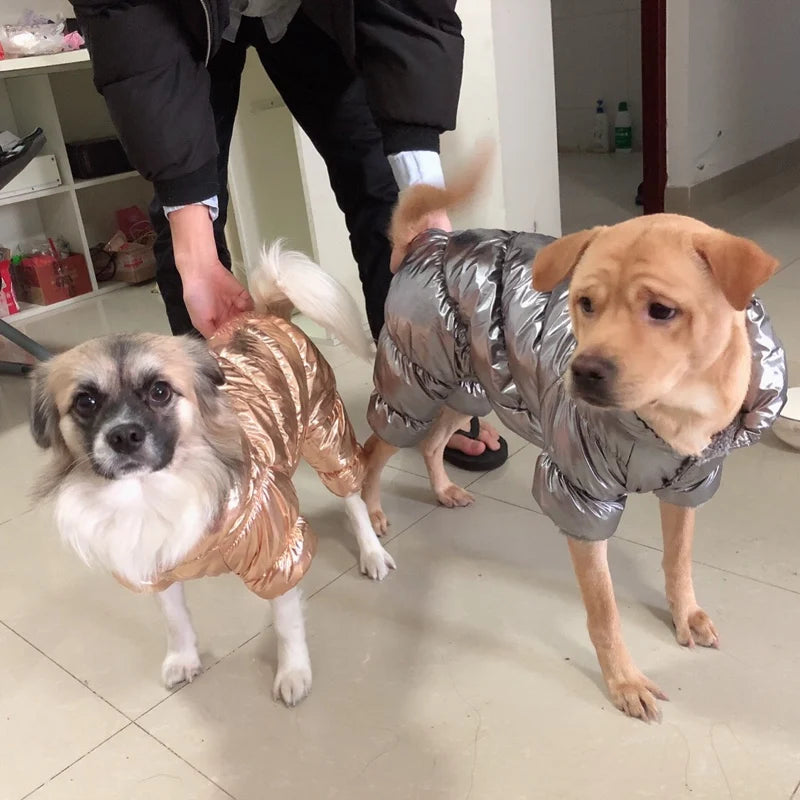 Winter Down Jumpsuit for Small Dogs | Padded All-in-One Dog Coat