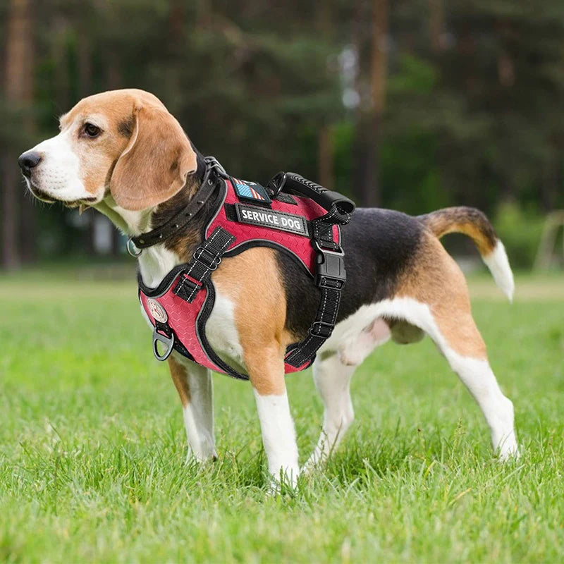 Dog Harness Set — Chest Vest, Shock-Absorbing Lead, Folding Bowl & Waste Bags