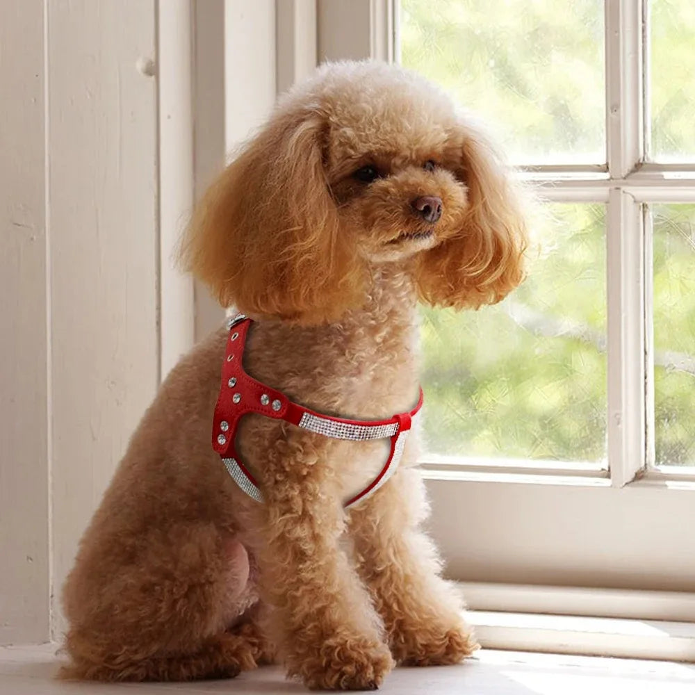 Harnais universel pour chien – Accessoires pour animaux de compagnie petites et grandes races