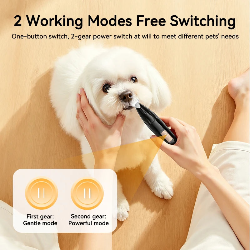 Tondeuse électrique rechargeable pour animaux de compagnie avec lumière LED