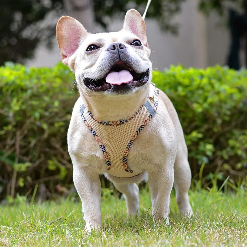 Gilet Tactique pour Chien avec Sangle de Poitrine - Harnais Robuste pour Animaux de Compagnie