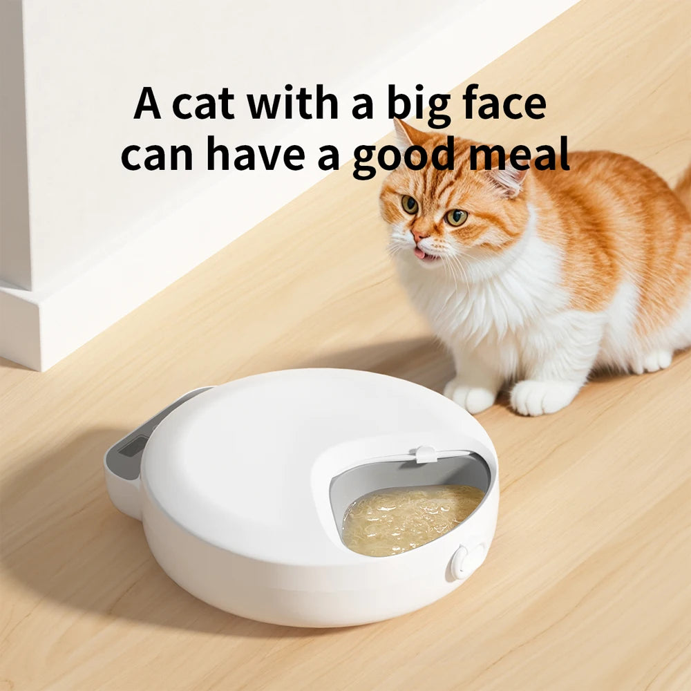 Distributeur automatique de nourriture humide, quatre mangeoires pour animaux pour différentes nourritures, gamelle pour chat avec nourriture sèche et humide et blocs réfrigérants