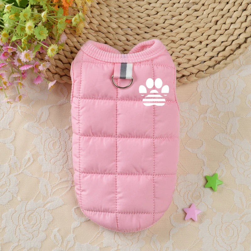 Windproof Padded Dog Coat for Small Dogs