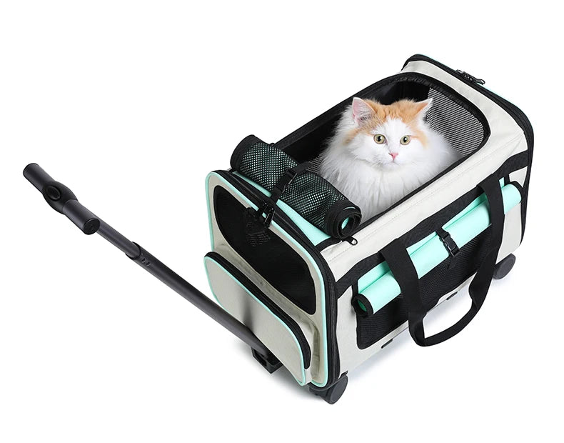 Sac de transport pliable pour animaux de compagnie — Grande valise de voyage détachable