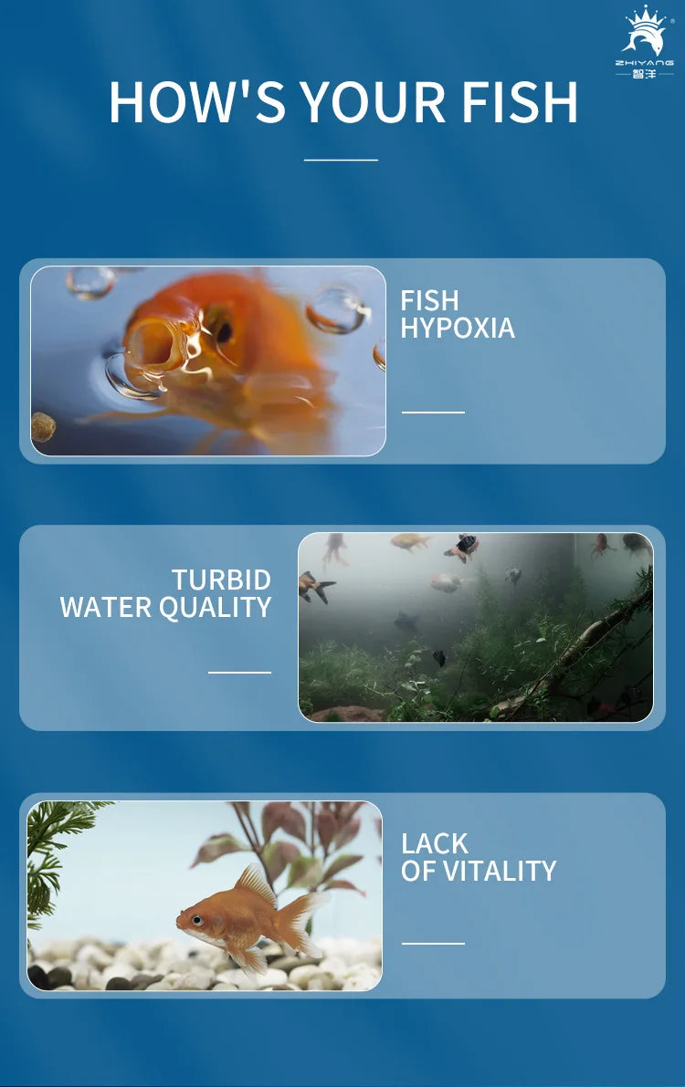 Internal Aquarium Filter with Spray Bar Outlet