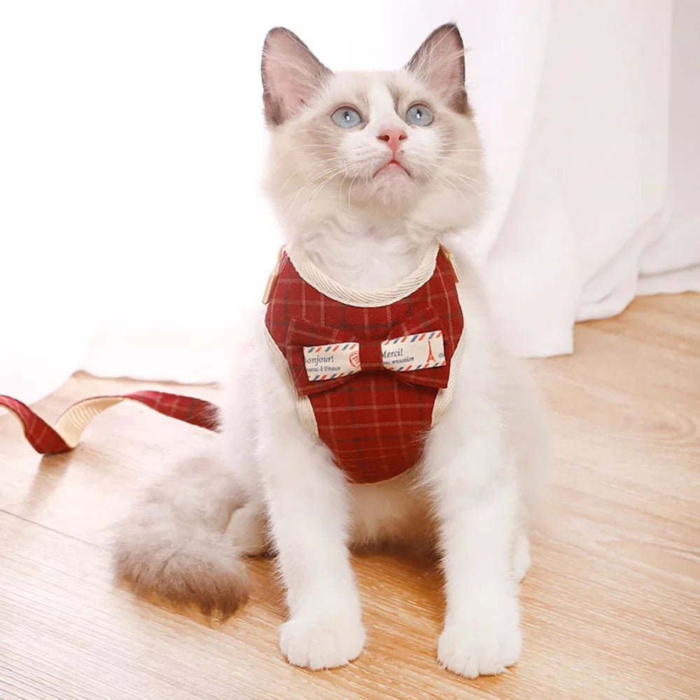 Nylon Mesh Cat & Small Dog Harness Set