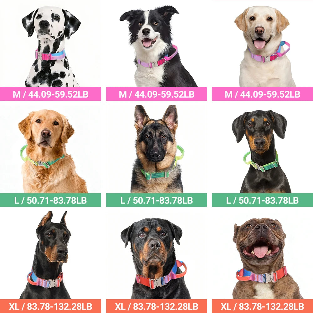Wide Padded Dog Collar with Handle | Gradient Design for Large Dogs